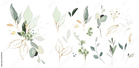 Set of herbal branch. green and gld leaves. Wedding concept. Vector arrangements for greeting ...