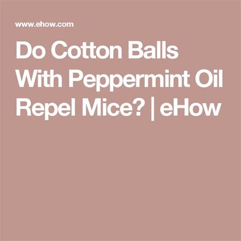 the words do cotton balls with peppermint oil repel mice?