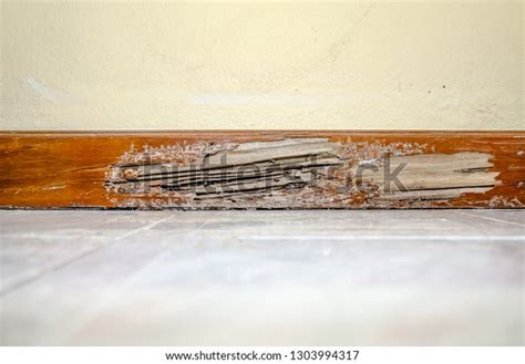 Wood Termite Bitesyellow Room Decaying Wood Stock Photo (Edit Now ...