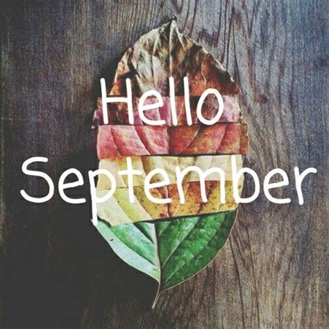 Hello September autumn fall month leaf september hello september ...