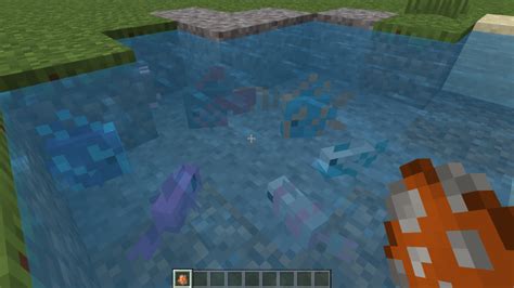 Minecraft: How Many Types of Tropical Fish Are There and How to Breed ...