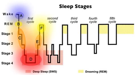 Spirit Alchemy: Articles: Sleep and Dreams in Anthroposophy