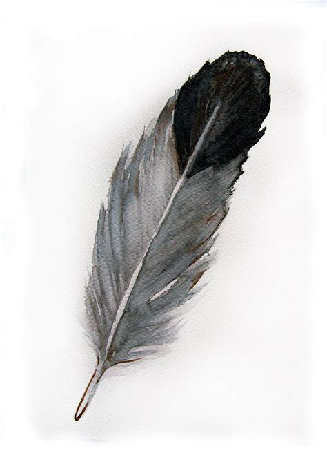 feather drawing | feather-Original art watercolor painting of feather-Feather ... Feather ...