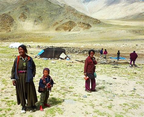 Are nomads a climate-change weathervane? | New Internationalist