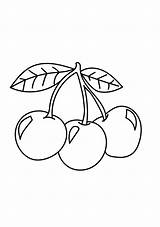 Cherry Coloring Pages  Free Printable For Kids sketch template