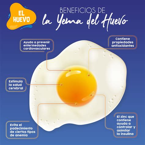 el huevo - ¿Conoces los beneficios de la yema del huevo?...