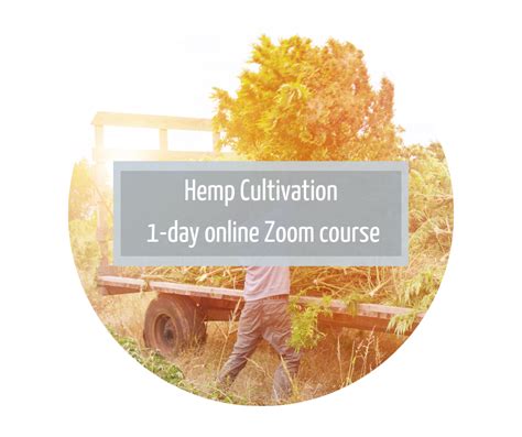 1-day Hemp Cultivation Online Zoom Course