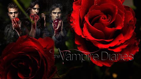 HD wallpaper: TV Show, The Vampire Diaries, Blood, Fan Art, Flower, Halloween | Wallpaper Flare