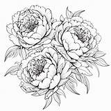 Desenho 06 De Flores Para colorir sketch template