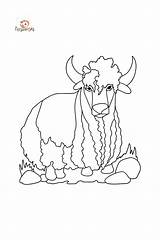 Ausmalbild Wilde Yaks Tiere Asien ♥ Drucken Und Online sketch template