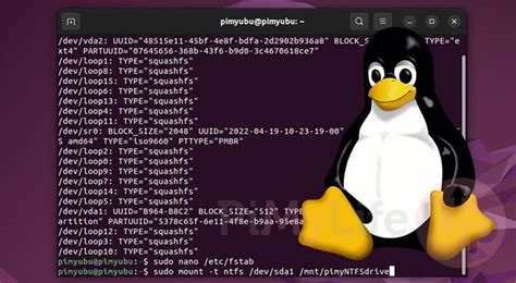 How to Mount NTFS Partitions on Linux - Pi My Life Up