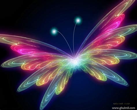 Live Butterfly Wallpapers - Wallpaper Cave