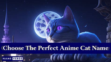 Anime Cat Names: 360 Best Names For Your Pretty Kitty