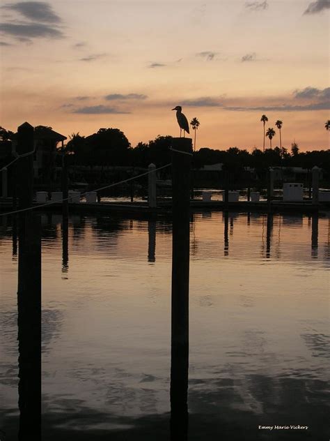 Sarasota Sunset Photograph by Emmy Marie Vickers