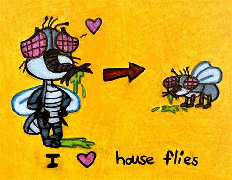 I love house flies by Crazyimp on Newgrounds