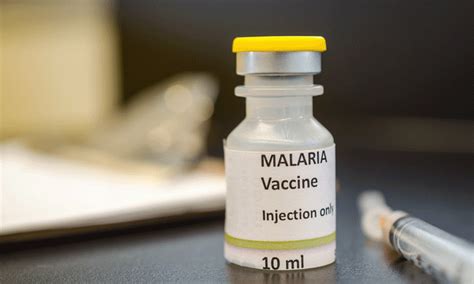 Hope rises for malaria vaccine breakthrough - Punch Newspapers