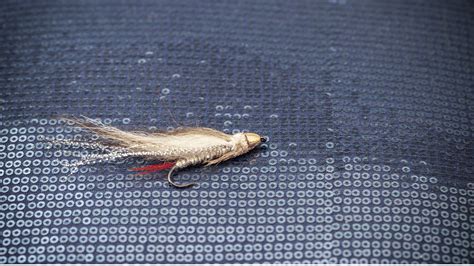 Guide To Tying Flies: From Beginner To Pro