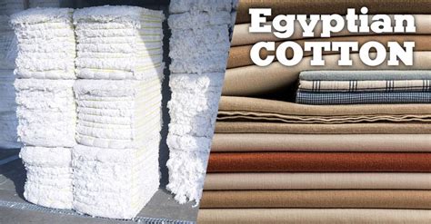 Egyptian cotton that is grown in only a few place outside Egypt. It is often considered as some ...