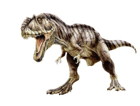 Giganotosaurus Pictures & Facts - The Dinosaur Database