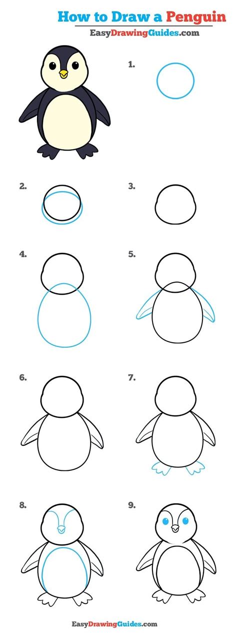 How to Draw a Penguin in a Few Easy Steps | Easy Drawing Guides