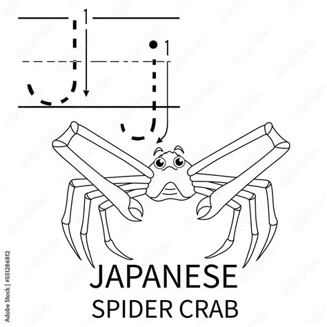 Cute Sea Animal Alphabet Series. J is for Japanese spider crab. Vector ...