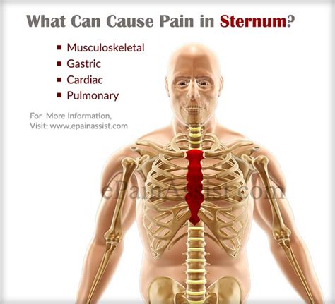 Pain in Sternum|Causes|Symptoms|Treatment