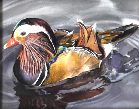 Mandarin duck Painting by VV Art Batik - Fine Art America