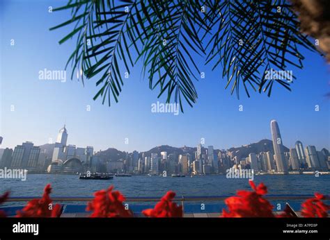 China, Hong Kong, City Skyline Stock Photo - Alamy