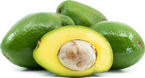 Choquette Avocados Information and Facts