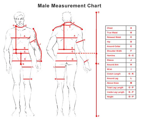 Printable Male Body Measurements Chart