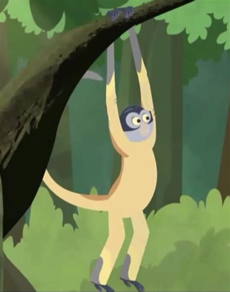 Geoffroy's Spider Monkey/Ateles Geoffroyi | Wild kratts, Spider monkey ...