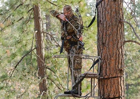 Bow Hunting Tips-Some Quick Tips to Make You a Better Bowhunter