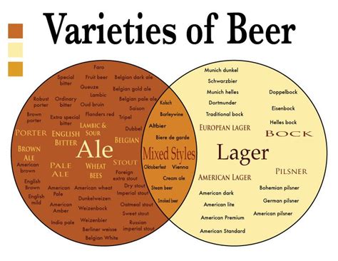 Venn diagram of the varieties of beer | Beer, Beer infographic, Beer ...