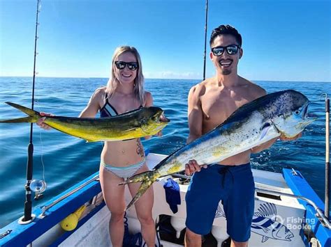 Average Cost of Cabo San Lucas Fishing Charters (Full Guide ...