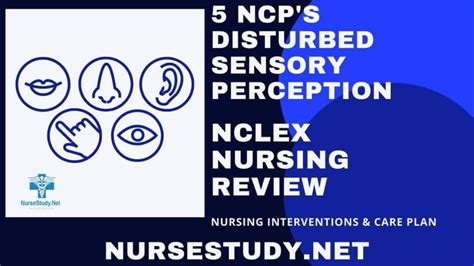 Disturbed Sensory Perception Nursing Diagnosis & Care Plans ...