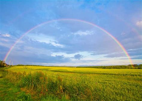 What Happened To The Rainbow Dream? - Modern Diplomacy