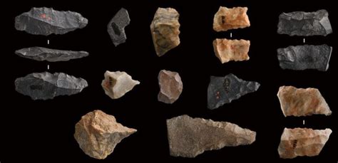 45,000-Year-Old Tools And Bones Reveal Earliest Evidence of Homo ...