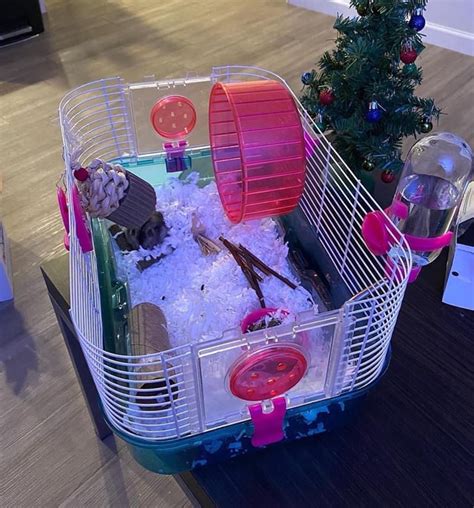 Old hamster cage vs New hamster cage : r/hamsters