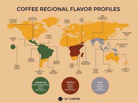 Arabica Vs Robusta: Similarities and Differences