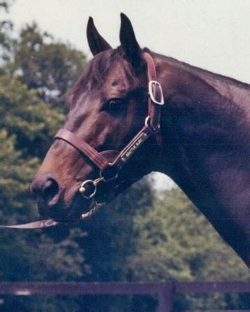 Seattle Slew (Racehorse) - On This Day