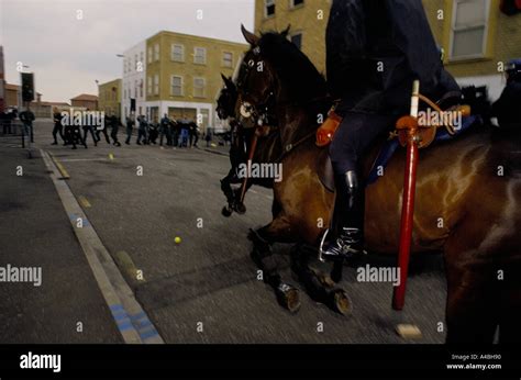 Horses charge at Metropolitan Police's Imber Court Mounted Branch ...