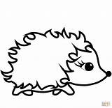 Cute Cartoon Hedgehog coloring page  Free Printable Coloring Pages sketch template