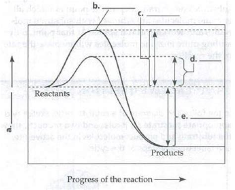 In the following graph of an exergonic reaction with and without an enzyme catalyst, label parts ...