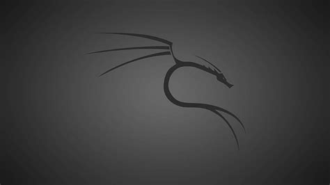 720P free download | Kali Linux, Black and Gray Dragon, HD wallpaper | Peakpx