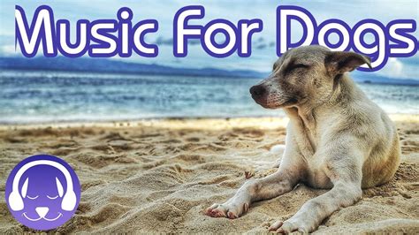 Dog Music: Instant Relaxation For Your Dog! (15 HOURS) (EXTENDED) - YouTube