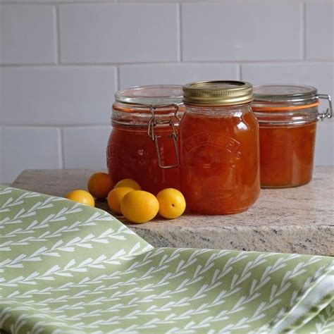 Wild yellow plum jam: hedgerow recipe #2 in 2020 | Plum jam, Yellow plums, Yellow plum jam