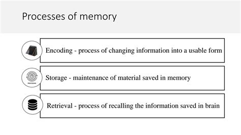 SOLUTION: Memory its types and disorders presentation - Studypool