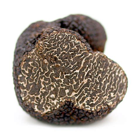 Fresh French Truffles - Perigord Truffles of Tasmania