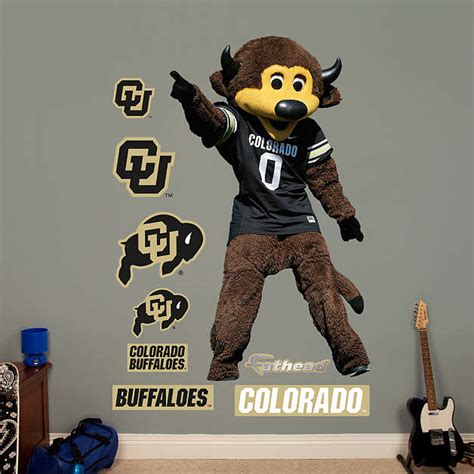 Colorado Mascot - Chip Wall Decal | Shop Fathead® for Colorado Buffaloes Decor