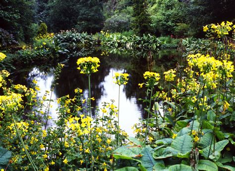 Kildrummy Castle Gardens